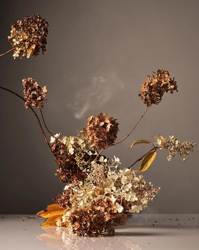 Homecourt Hand Wash, Gently Cleanses & Hydrates, Removes Dirt & Debris Without Irritating Skin, Clean Formula, Cece 2.0, 12 fl oz