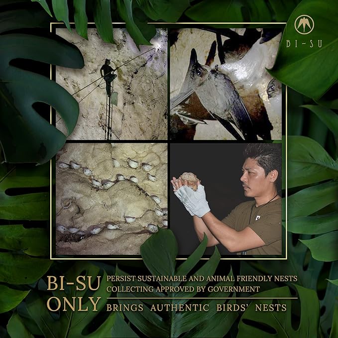 BI-SU Bird's Nest Extracted Essence Moisturizing Facial Essence (Lotion), Japan Skin care, Collagen, Instant Hydrating for All Skin, 4.05 fl.oz,120ml